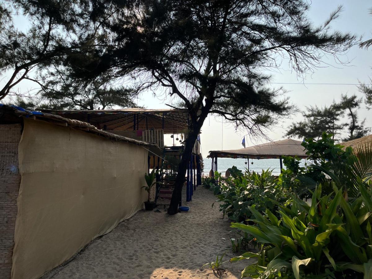 Lotus Oasis Resort